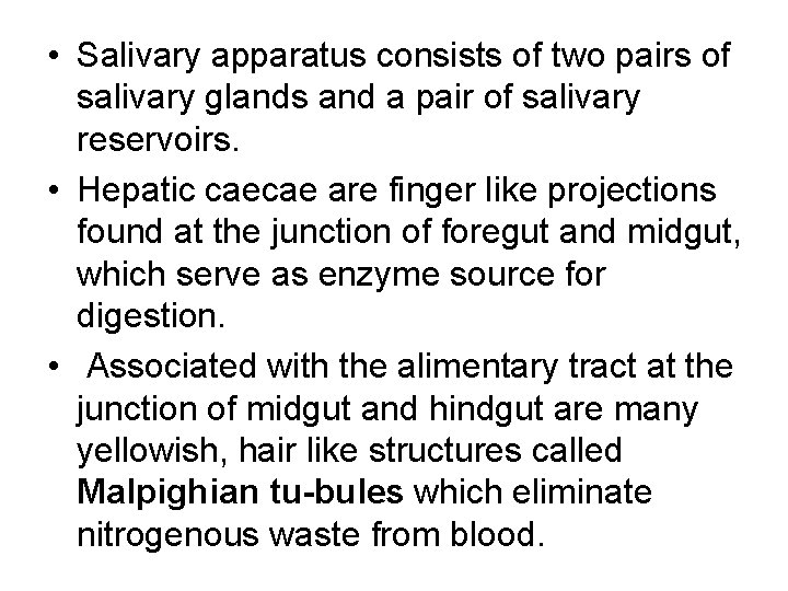 • Salivary apparatus consists of two pairs of salivary glands and a pair