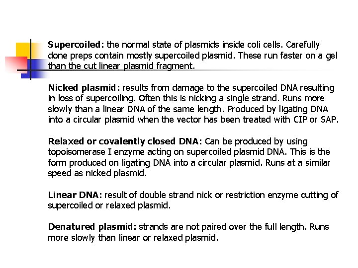 Supercoiled: the normal state of plasmids inside coli cells. Carefully done preps contain mostly