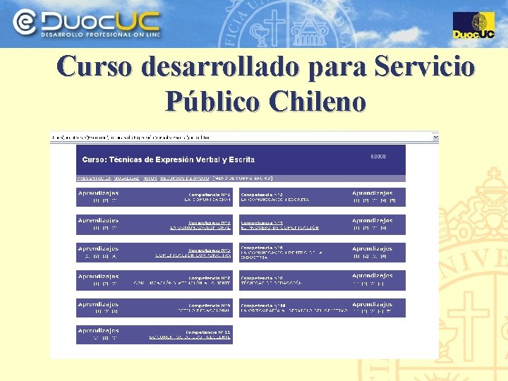 Curso desarrollado para Servicio Público Chileno 