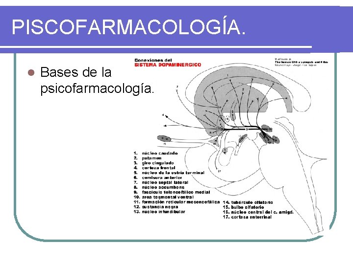 PISCOFARMACOLOGÍA. l Bases de la psicofarmacología. 