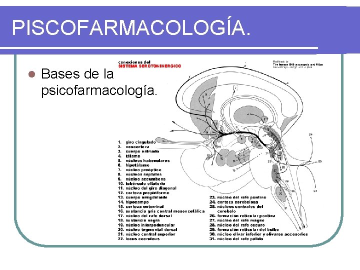 PISCOFARMACOLOGÍA. l Bases de la psicofarmacología. 