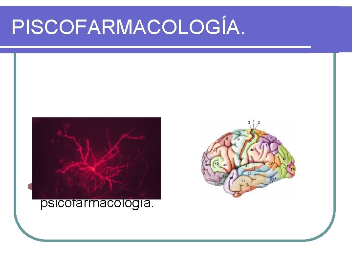 PISCOFARMACOLOGÍA. l Bases de la psicofarmacología. 