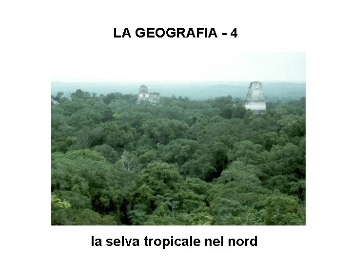 LA GEOGRAFIA - 4 la selva tropicale nel nord 