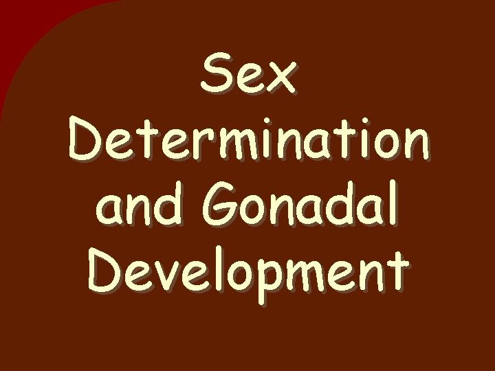 Sex Determination and Gonadal Development 