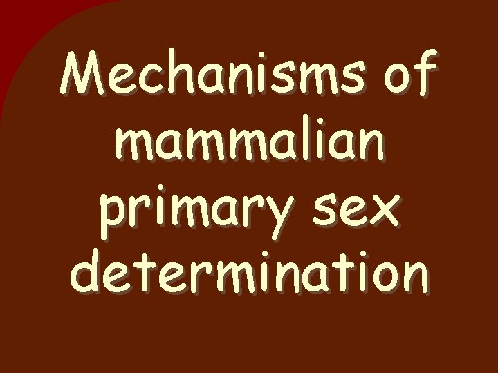 Mechanisms of mammalian primary sex determination 