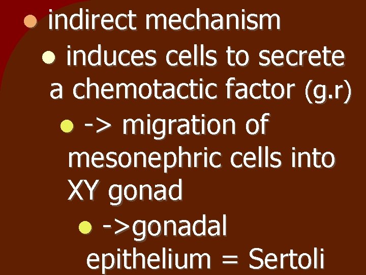  indirect mechanism induces cells to secrete a chemotactic factor (g. r) -> migration