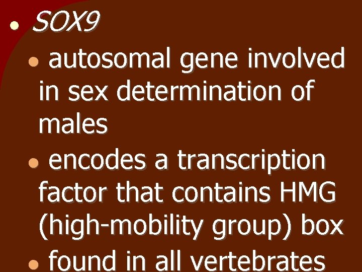  SOX 9 autosomal gene involved in sex determination of males encodes a transcription