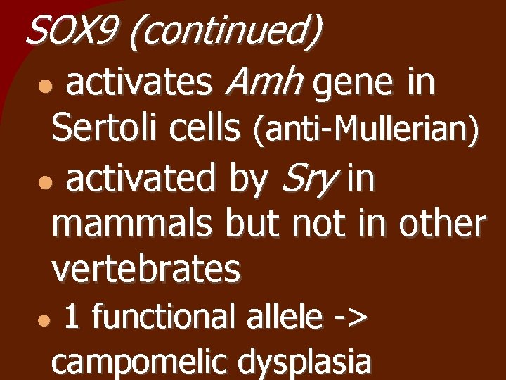 SOX 9 (continued) activates Amh gene in Sertoli cells (anti-Mullerian) activated by Sry in