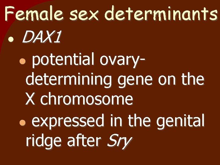 Female sex determinants DAX 1 potential ovarydetermining gene on the X chromosome expressed in