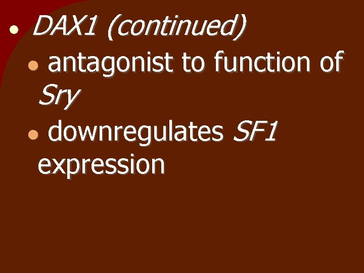  DAX 1 (continued) antagonist to function of Sry downregulates SF 1 expression 