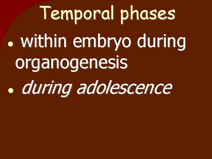 Temporal phases within embryo during organogenesis during adolescence 