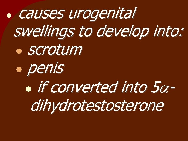  causes urogenital swellings to develop into: scrotum penis if converted into 5 dihydrotestosterone