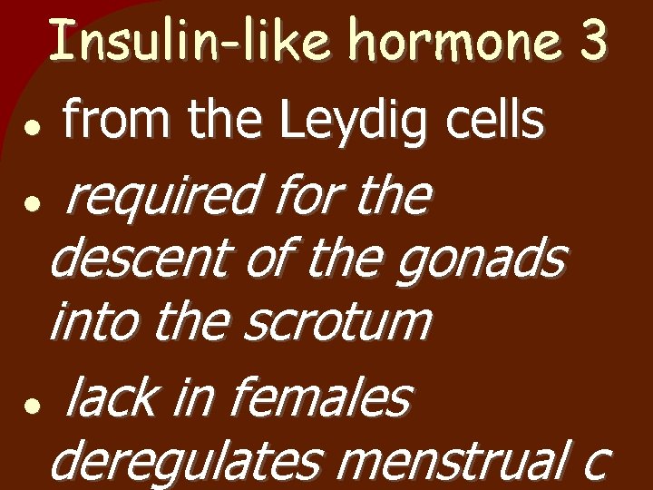 Insulin-like hormone 3 from the Leydig cells required for the descent of the gonads