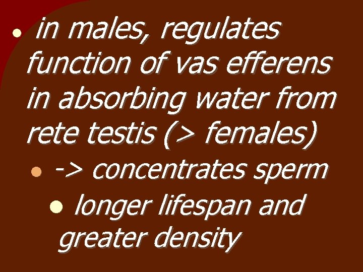  in males, regulates function of vas efferens in absorbing water from rete testis