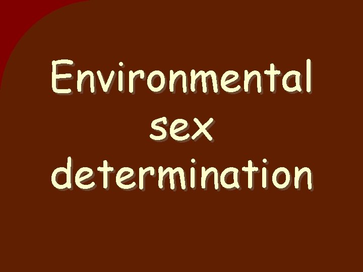 Environmental sex determination 
