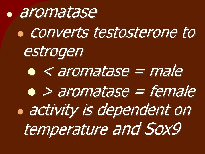  aromatase converts testosterone to estrogen < aromatase = male > aromatase = female