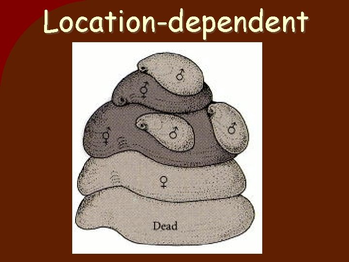 Location-dependent 