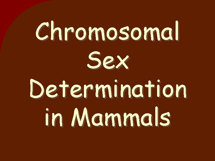 Chromosomal Sex Determination in Mammals 