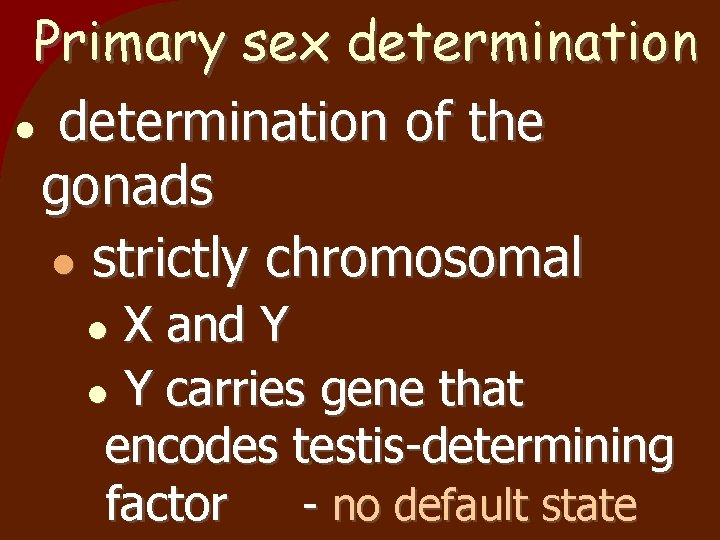 Primary sex determination of the gonads strictly chromosomal X and Y Y carries gene