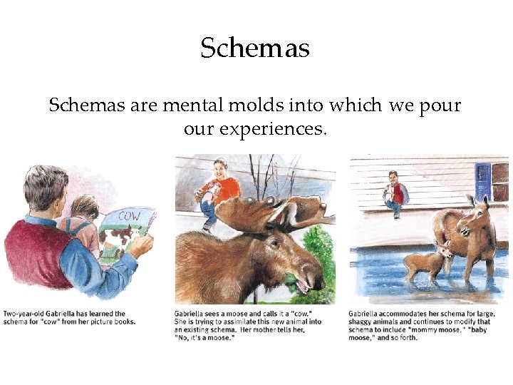 Schemas are mental molds into which we pour experiences. 