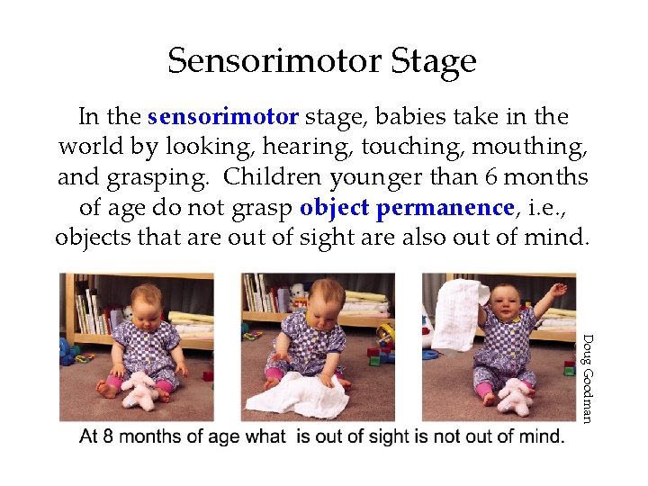 Sensorimotor Stage In the sensorimotor stage, babies take in the world by looking, hearing,