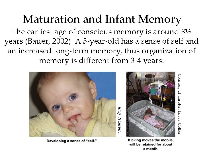 Maturation and Infant Memory The earliest age of conscious memory is around 3½ years