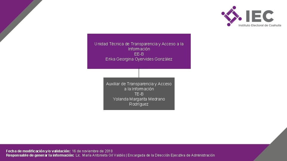 Unidad Técnica de Transparencia y Acceso a la Información EE-B Erika Georgina Oyervides González
