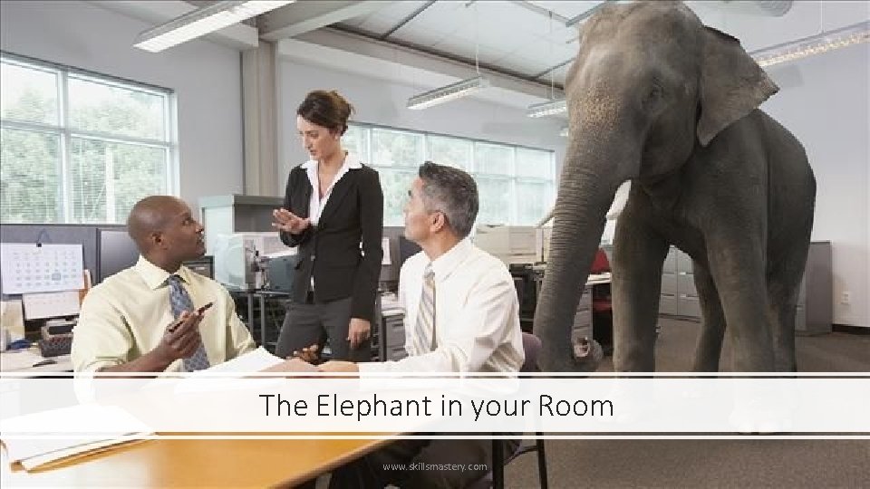 The Elephant in your Room www. skillsmastery. com 