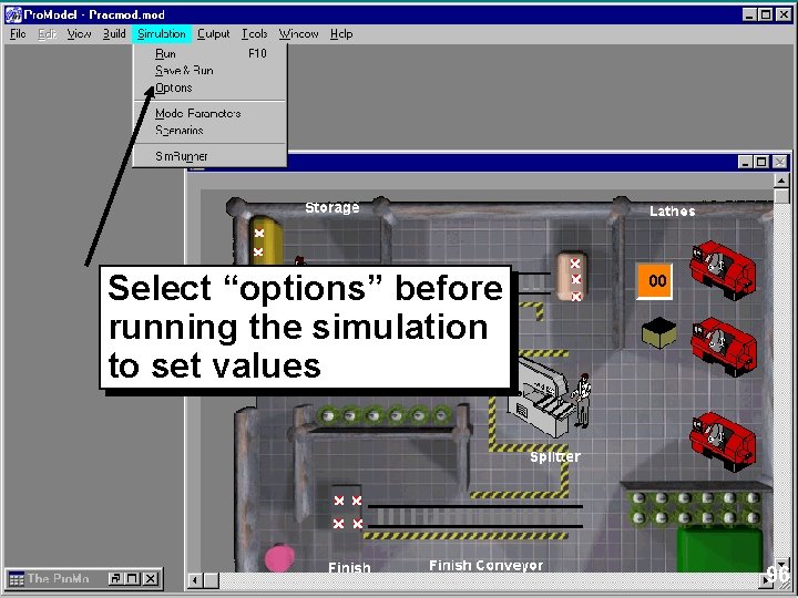 Select “options” before running the simulation to set values 96 