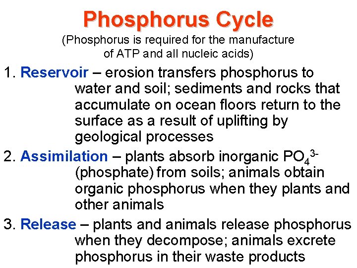 Phosphorus Cycle (Phosphorus is required for the manufacture of ATP and all nucleic acids) Phosphorus Cycle (Phosphorus is required for the manufacture of ATP and all nucleic acids)
