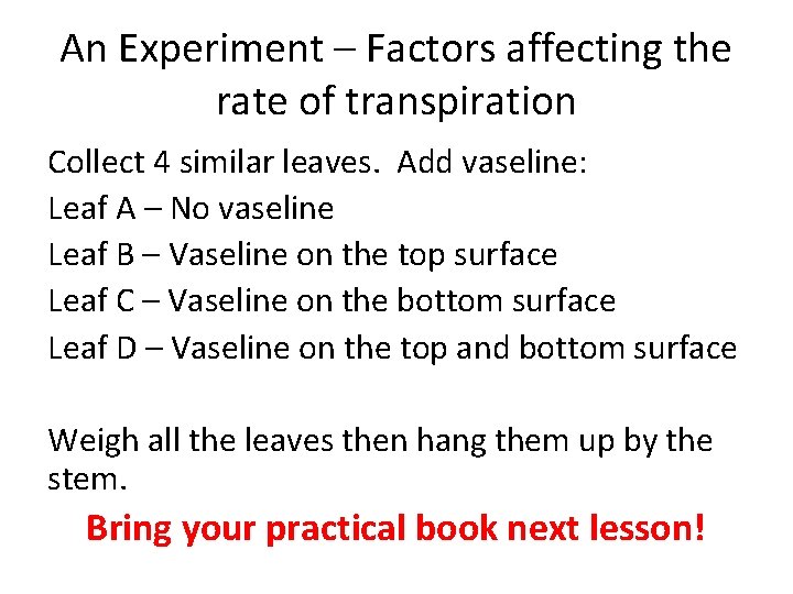 An Experiment – Factors affecting the rate of transpiration Collect 4 similar leaves. Add