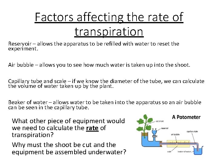 Factors affecting the rate of transpiration Reservoir – allows the apparatus to be refilled
