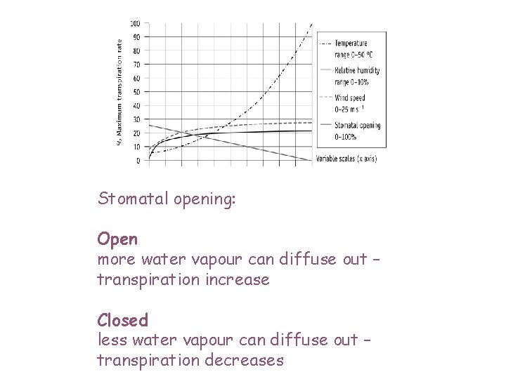 Stomatal opening: Open more water vapour can diffuse out – transpiration increase Closed less