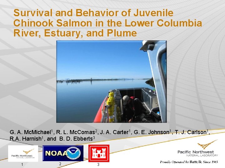 Survival and Behavior of Juvenile Chinook Salmon in the Lower Columbia River, Estuary, and