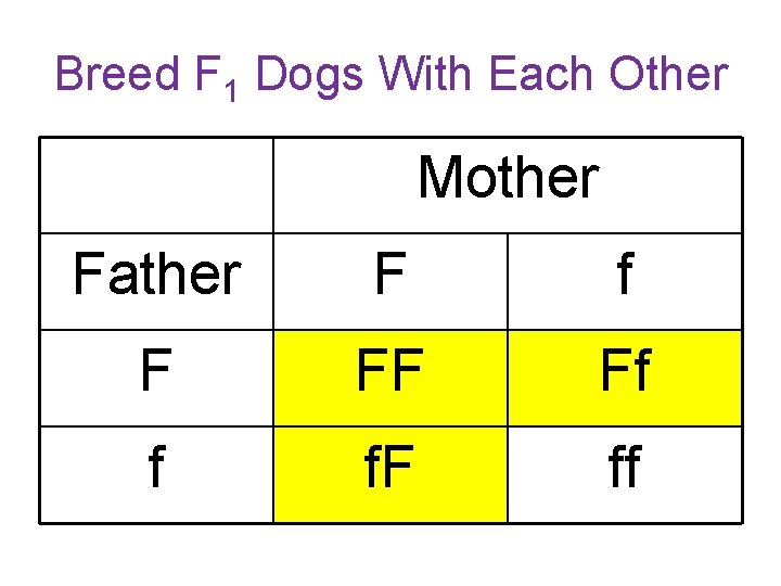 Breed F 1 Dogs With Each Other Mother Father F f F FF Ff