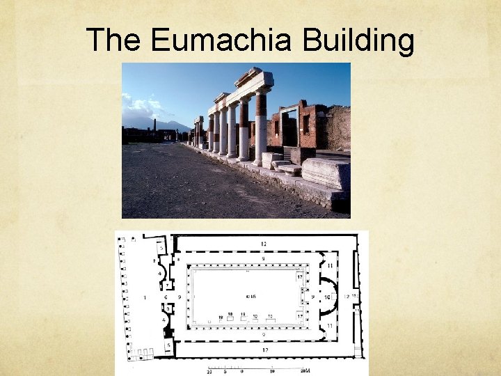 The Eumachia Building 