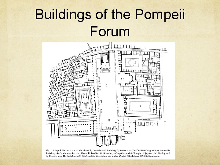 Buildings of the Pompeii Forum 