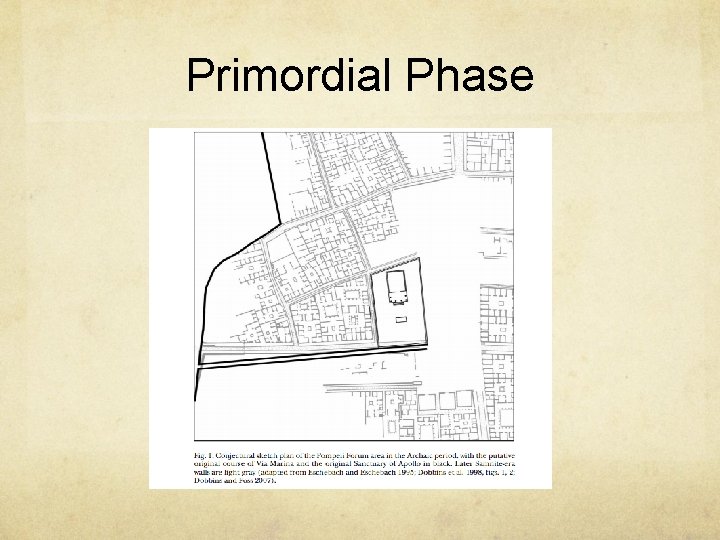 Primordial Phase 