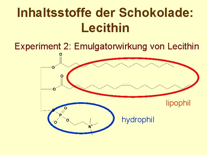 Inhaltsstoffe der Schokolade: Lecithin Experiment 2: Emulgatorwirkung von Lecithin lipophil hydrophil 