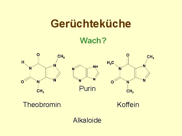 Gerüchteküche Wach? Purin Theobromin Koffein Alkaloide 