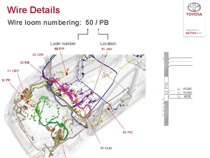 Wire Details Wire loom numbering: 50 / PB Loom number 24 Location 