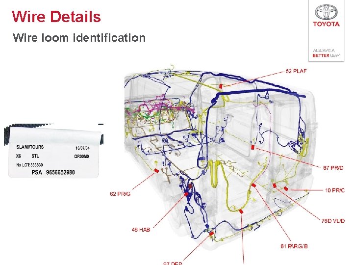 Wire Details Wire loom identification 25 