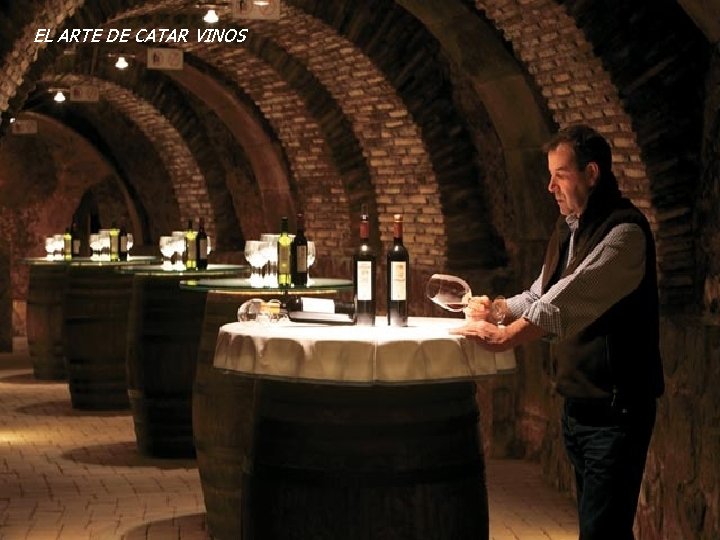 EL ARTE DE CATAR VINOS EL ARTE DE CATAR VINOS
