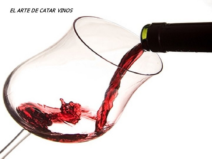 EL ARTE DE CATAR VINOS EL ARTE DE CATAR VINOS