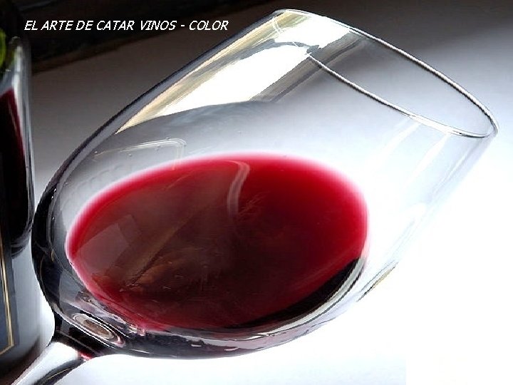 EL ARTE DE CATAR VINOS - COLOR EL ARTE DE CATAR VINOS - COLOR