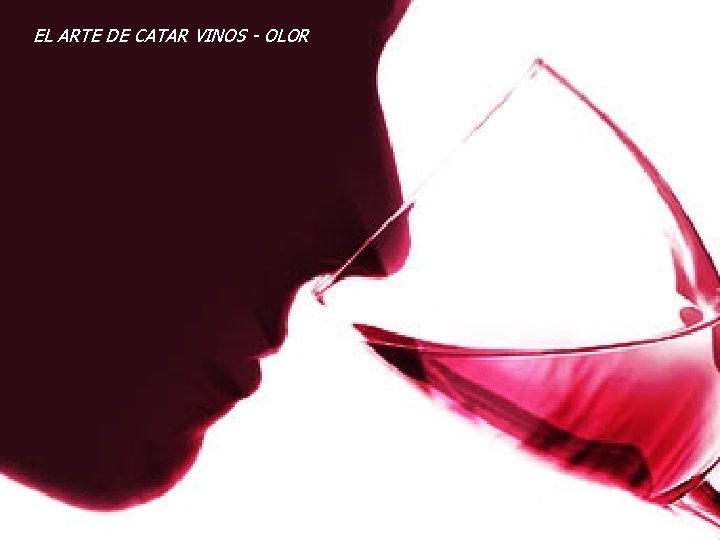 EL ARTE DE CATAR VINOS - OLOR EL ARTE DE CATAR VINOS - OLOR