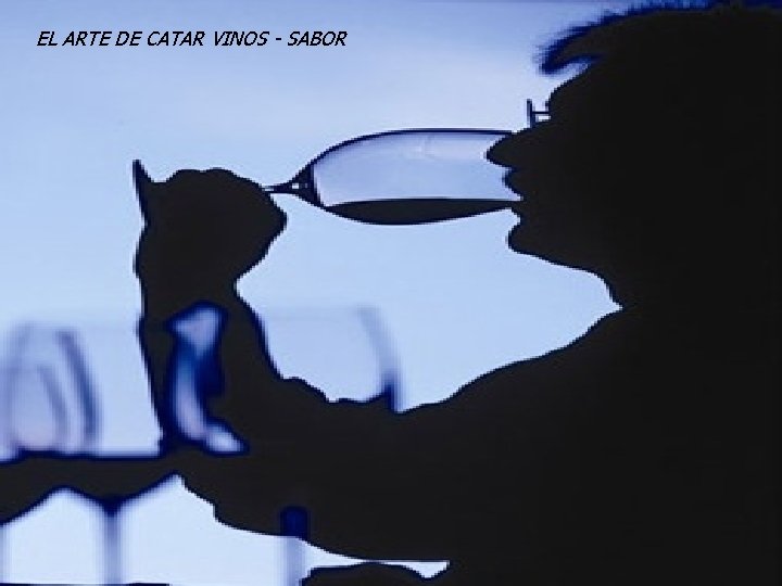 EL ARTE DE CATAR VINOS - SABOR EL ARTE DE CATAR VINOS - SABOR