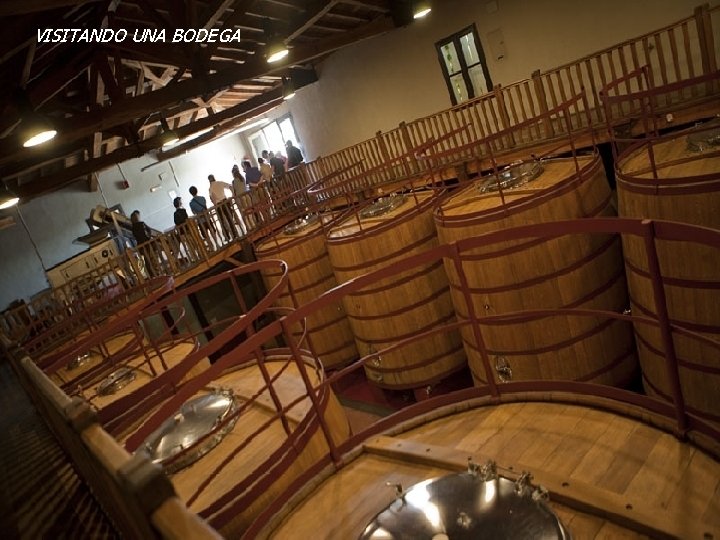 VISITANDO UNA BODEGA VISITANDO UNA BODEGA