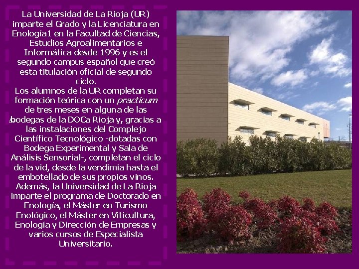 La Universidad de La Rioja (UR) imparte el Grado y la Licenciatura en Enología La Universidad de La Rioja (UR) imparte el Grado y la Licenciatura en Enología