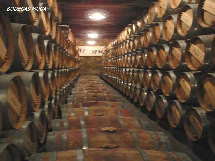 BODEGAS MUGA BODEGAS MUGA